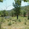 paintball017.jpg